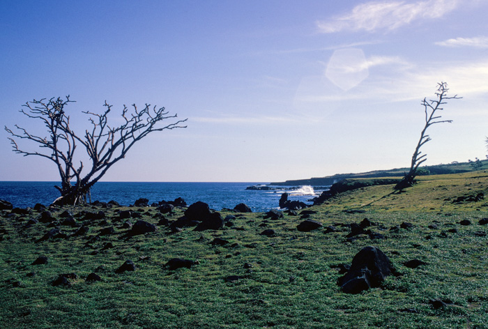 Maui