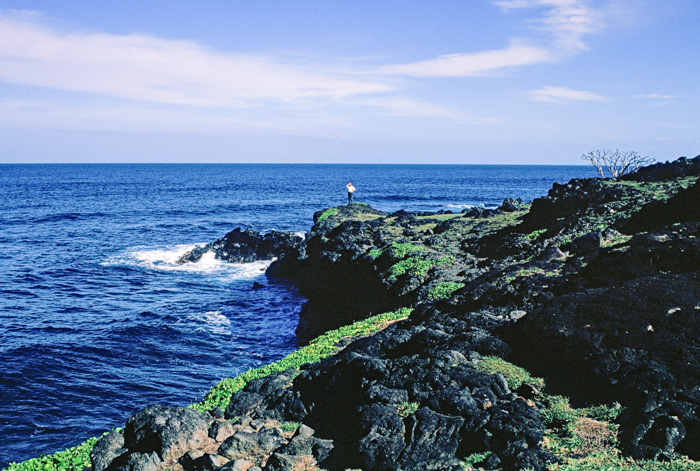 Maui Coast