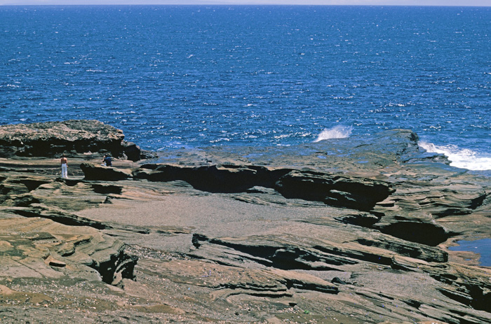 Koko Head