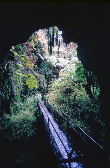 Thurston Lava Tube