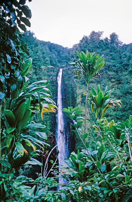 Akaka Falls