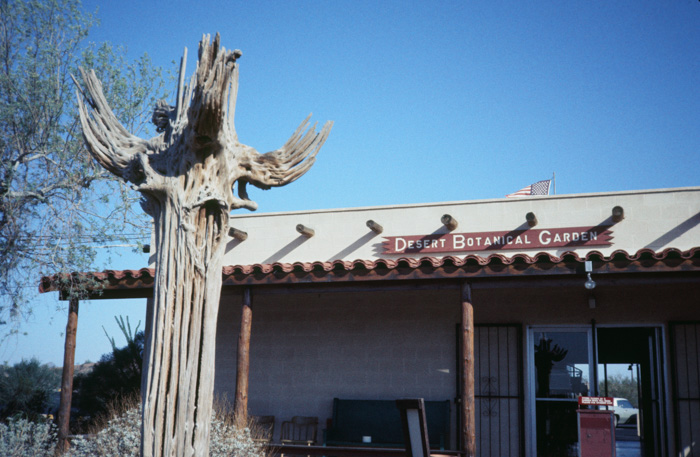 Arizona-Sonora Desert Museum