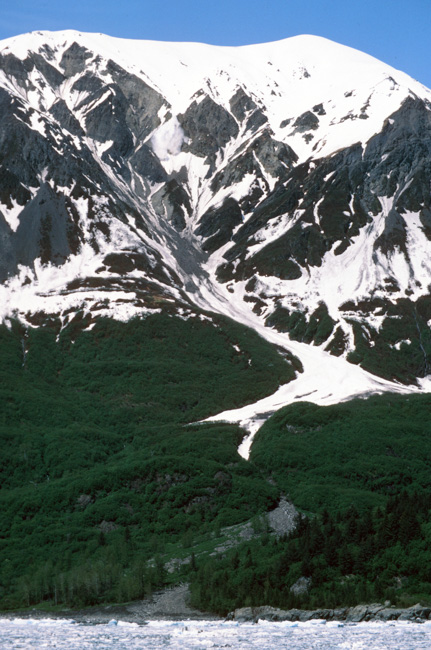 Yakutat Bay