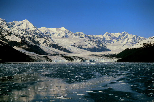 Harvard Glacier