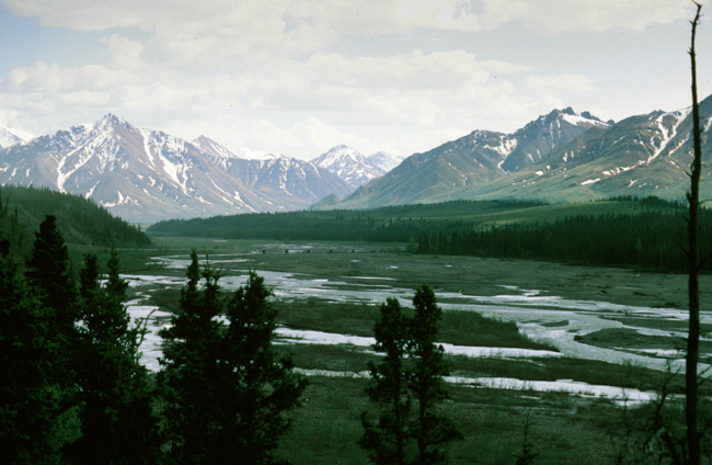 Denali Park