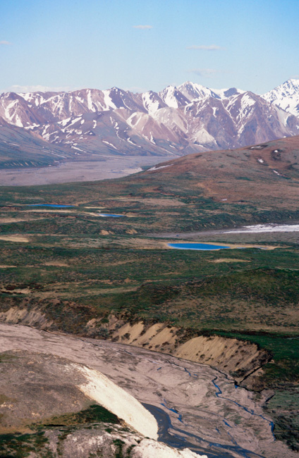 Polychrome Pass - Denali