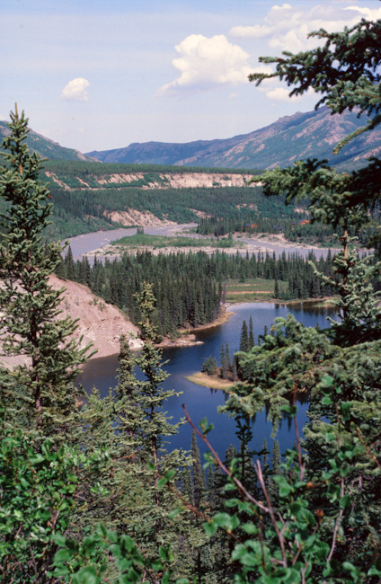 Horseshoe Lake, Denali National Park