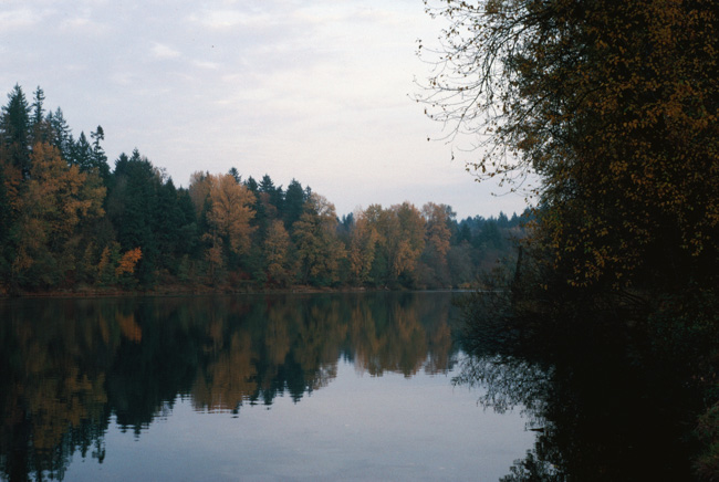 Willamette River