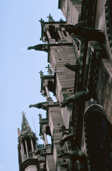 Notre Dame Gargoyles