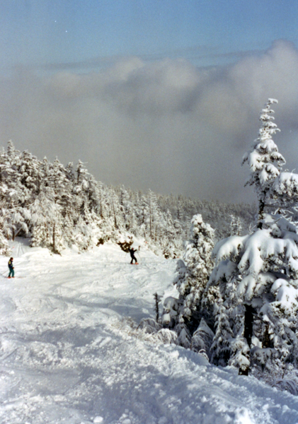 Snowy slopes