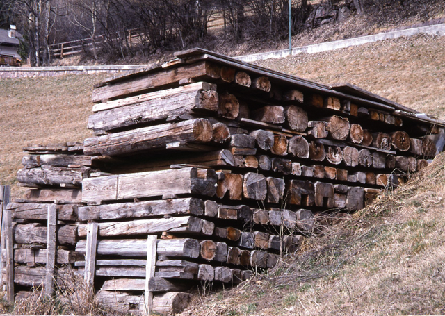 Curing Wood