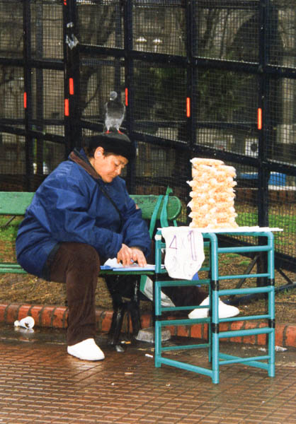 Pigeon Food Vendor