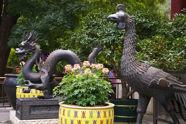 Summer Palace Dragon and Phoenix