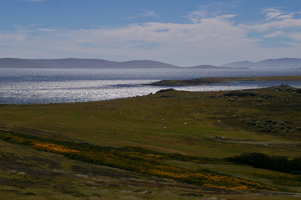 Falklands Vista