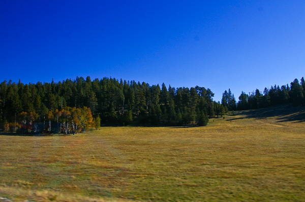 Alpine Meadows