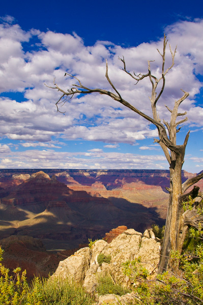 Mather Point Overlook