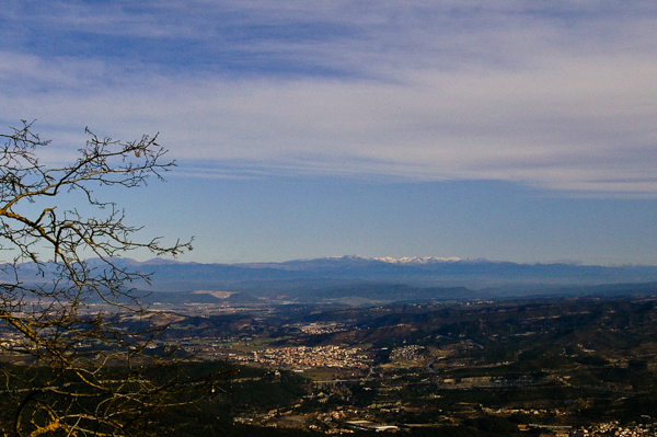 Pyrenees