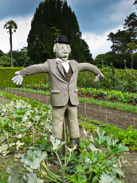 Diggory the Scarecrow