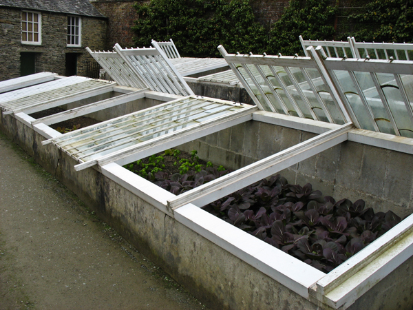 Cold frames