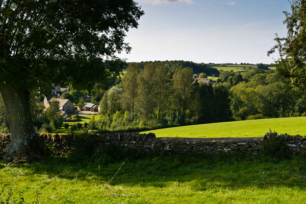 Jump inset into fence