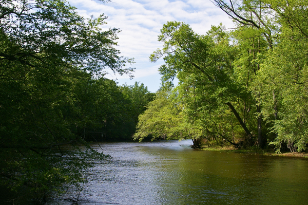 Edisto River