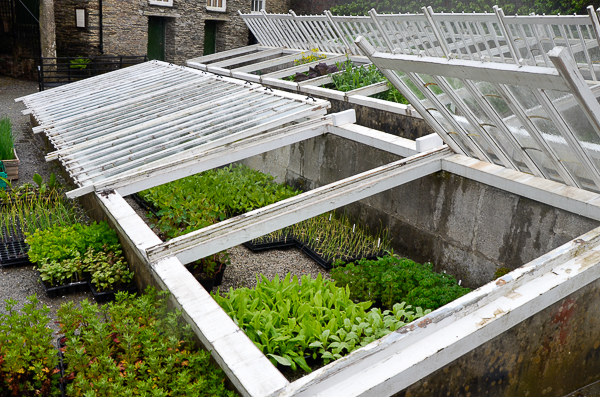 Cold Frames