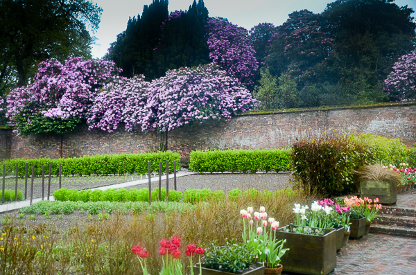 Heligan Walled Garden