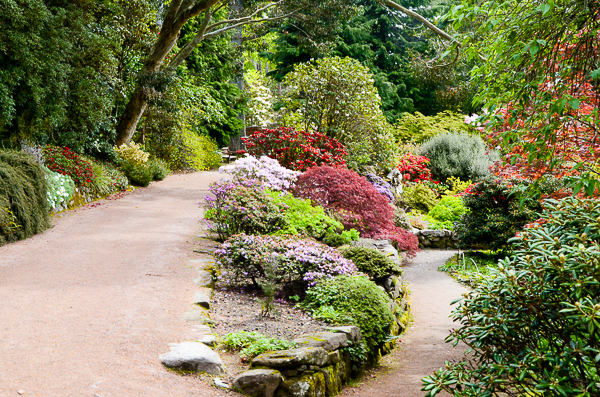 Inverewe garden trails