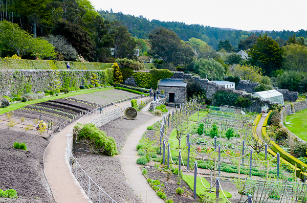 Inverewe Walled Garden