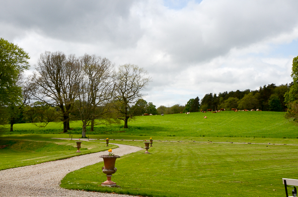 Haddo House Landscape