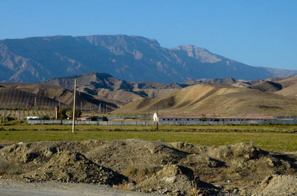 Turkmenistan Horse Farm