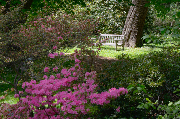 Barnes Foundation Arboretum