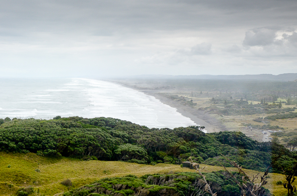 Muriwai Beach