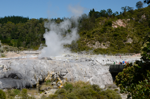 Pohutu Geyser