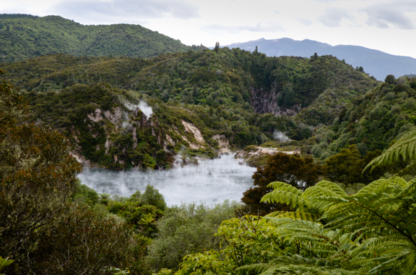 Echo Crater, Waimangu