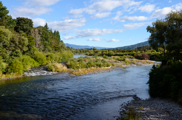 Tongariro River