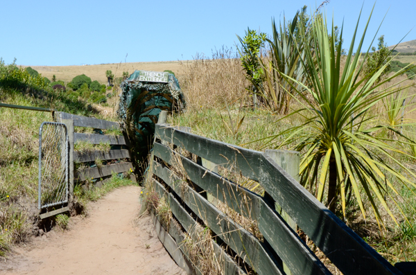 Viewing trenches