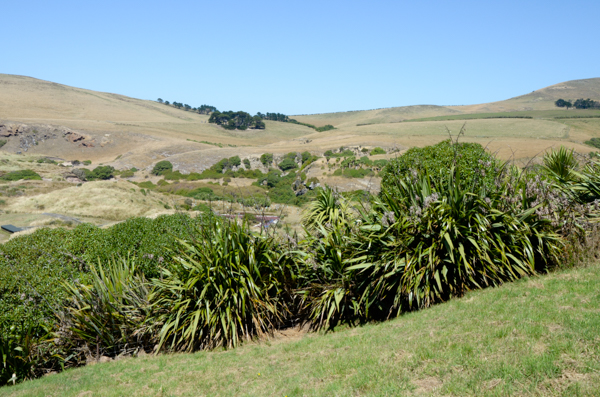 Habitat Restoration