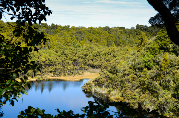 Lake Wilkie