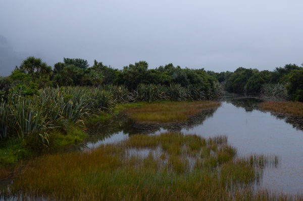 Haast Visitors' Center