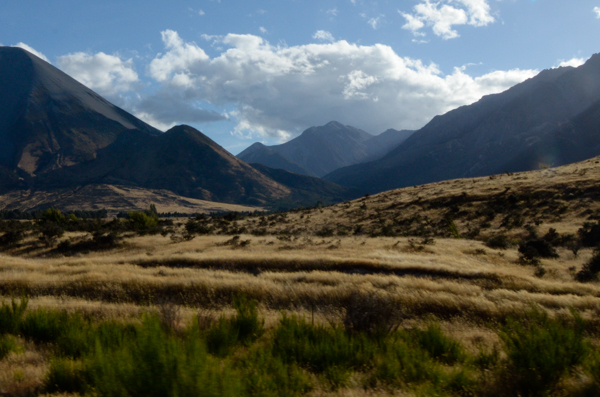 Grasslands