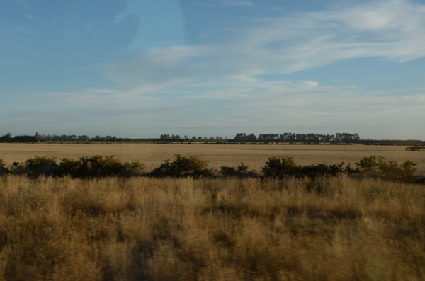 Canterbury Plains