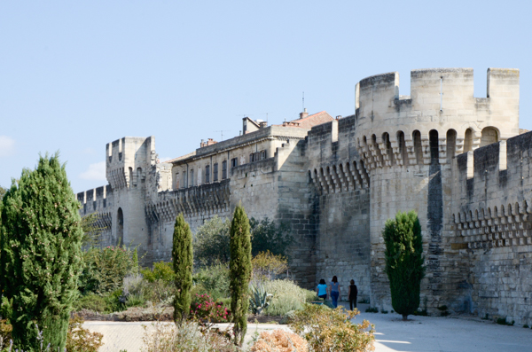 Avignon city wall