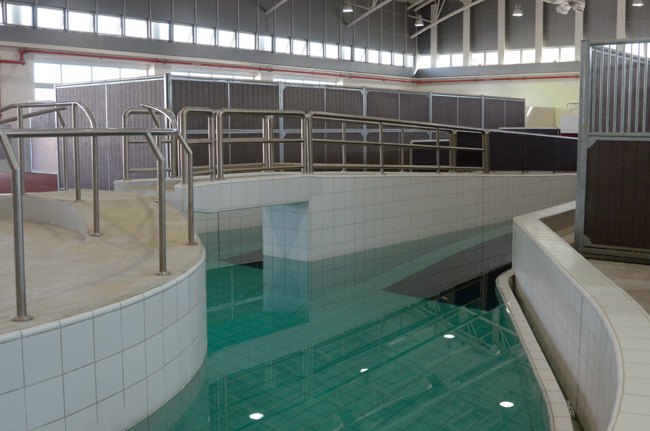 Hydrotherapy pool