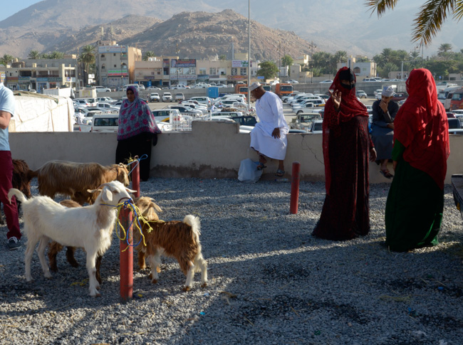 Nizwa Goat Souk