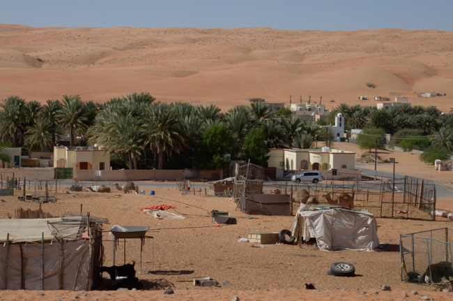 Bedouin encampment