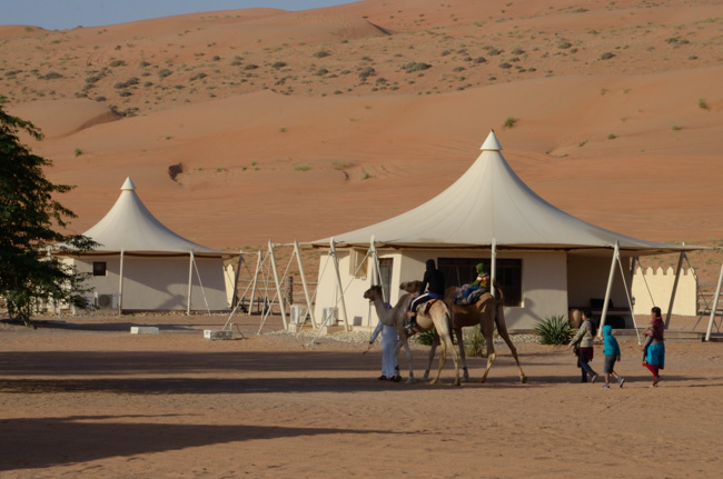 Camel Rides