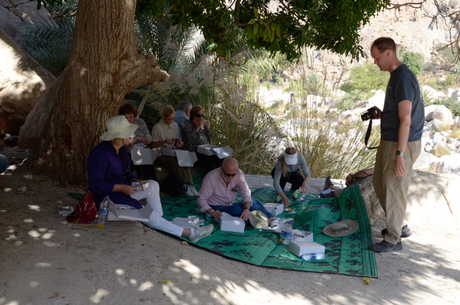 Picnic