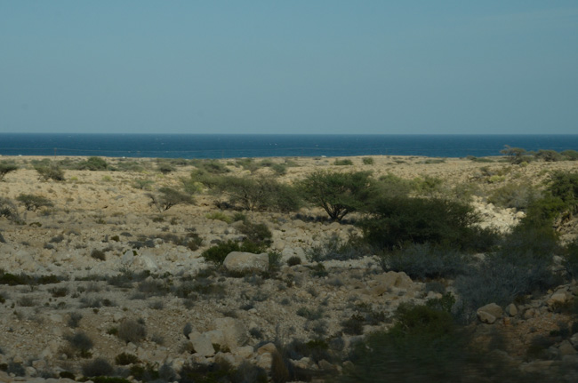 Gulf of Oman