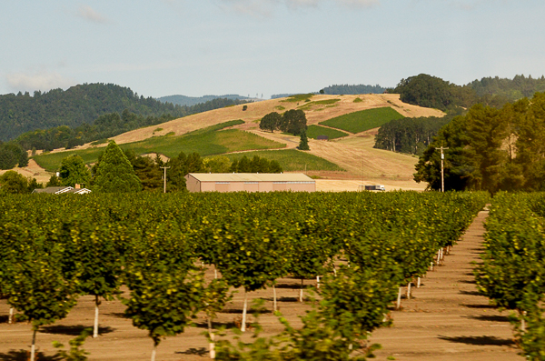 Oregon Agriculture